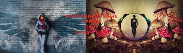 стафф Куйбышев