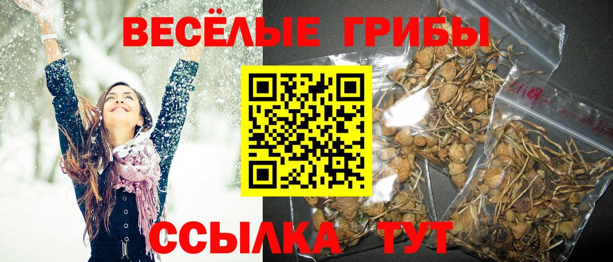 Галлюциногенные грибы мицелий  Вход с VPN  Курчалой 