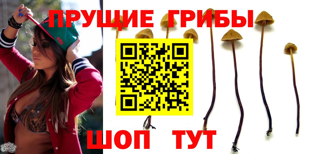Галлюциногенные грибы мухоморы Курчалой
