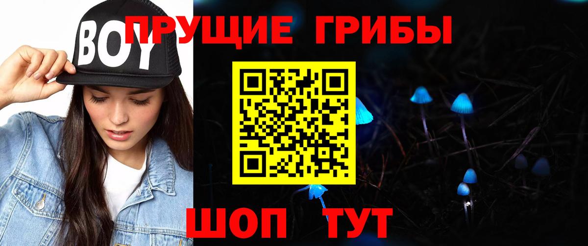 Галлюциногенные грибы Magic Shrooms  Псилоцибиновые грибы прущие грибы  Курчалой 